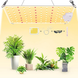 LOT! UUS Vayalt 001 LED taimelamp (1 foto / 5)