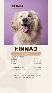 Groomeri teenused Jõhvis / грумер в Йыхви (5 фото из 6)