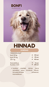 Groomeri teenused Jõhvis / грумер в Йыхви (6 фото из 6)