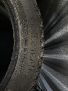 Continental talverehvid (2 foto / 3)