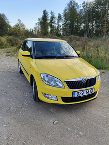 Škoda Fabia 2011 (1 фото из 10)