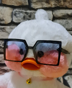Päikeseprillid Duck LaLafanfanile või lapsele (3 foto / 8)