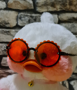 Päikeseprillid Duck LaLafanfanile või lapsele (5 foto / 8)