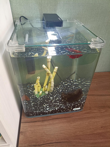 Akvaarium Nano Cube