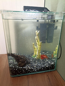 Akvaarium Nano Cube (2 foto / 2)