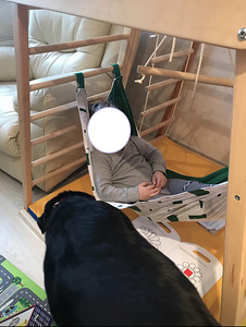 Lastespordikompleks KIDWOOD Laste spordikompleks (2 foto / 10)