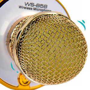 Karaokemikrofoni kõlar häälemuutusefektidega WS-8 (4 foto / 5)
