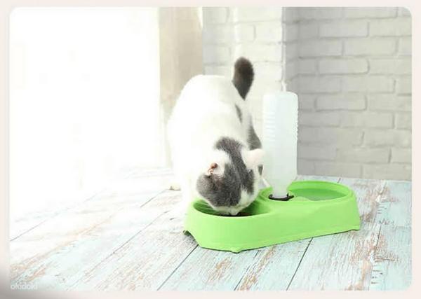 Двойная миска с дозатором воды для кошек и собак (фото #7)