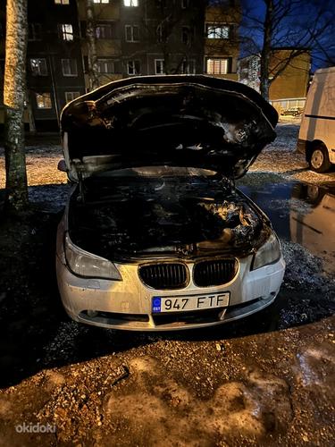 BMW 535d (foto #11)