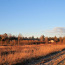 Pärnu maakond, Põhja-Pärnumaa vald, Enge küla, Loogi (фото #5)