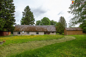 Tamme, Aaviku, Saaremaa vald, Saaremaa (2 foto / 10)