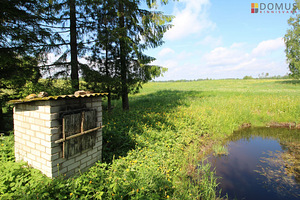 Tolli, Lilli, Mulgi vald, Viljandimaa (9 foto / 10)