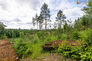 Tartu maakond, Elva vald, Vellavere küla (6 foto / 8)