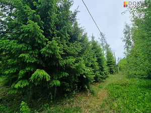 Kaseoksa tee, Ääsmäe, Saue vald, Harjumaa (1 foto / 9)