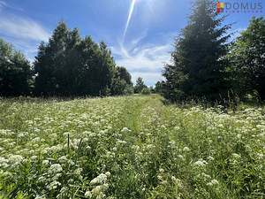 Härma tn 6, Soinaste, Kambja vald, Tartumaa (3 foto / 7)