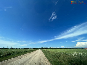 Härma tn 6, Soinaste, Kambja vald, Tartumaa (6 foto / 7)