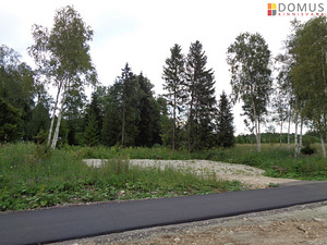 Suve tee 12, Aila, Saue vald, Harjumaa (4 foto / 10)