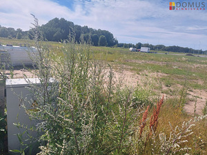 Tiirisule tee 25, Alliku, Saue vald, Harjumaa (5 foto / 10)