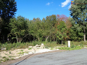 Suve tee 26, Aila, Saue vald, Harjumaa (1 foto / 10)