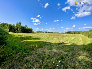 Elu tee 4, Papsaare, Pärnu linn, Pärnumaa (7 foto / 10)