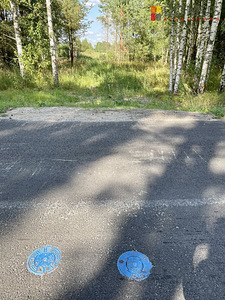 Elu tee 4, Papsaare, Pärnu linn, Pärnumaa (9 foto / 10)