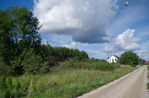 Lodjapuu, Ridaküla, Elva vald, Tartumaa (1 foto / 10)