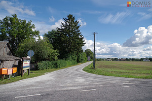 Lodjapuu, Ridaküla, Elva vald, Tartumaa (4 foto / 10)