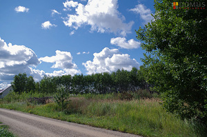 Lodjapuu, Ridaküla, Elva vald, Tartumaa (9 foto / 10)