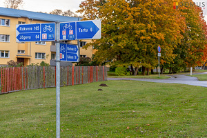 Kõrvekaare tn 5, Kõrveküla, Tartu vald, Tartumaa (9 foto / 10)