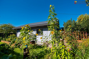 Arnika tee, Pirita, Tallinn, Harjumaa (6 foto / 10)