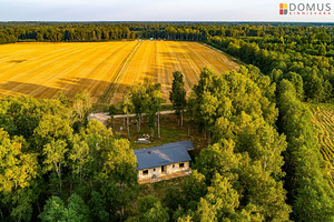 Kasejaagu, Sambu, Jõelähtme vald, Harjumaa (1 foto / 10)