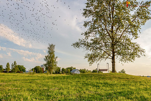Kaupmehe tn 6, Ropka tööstuse, Tartu, Tartumaa (10 foto / 10)