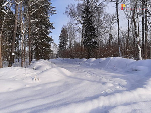 Harju maakond, Raasiku vald, Aruküla alevik, Siisikese 3 (2 foto / 10)