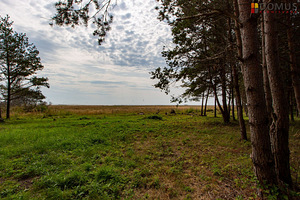 Saare maakond, Saaremaa vald, Sääre küla, VIIS VIIMAST! Suurevare / Loopsu. (9 foto / 10)