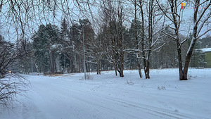 Koidu tn 22, Narva-Jõesuu, Narva-Jõesuu linn, Ida-Virumaa (10 foto / 10)