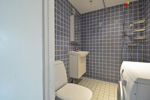 Luha tn 10, Kesklinna, Tallinn, Harjumaa (6 foto / 7)