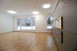 Hane tn 4, Kristiine, Tallinn, Harjumaa (10 foto / 10)