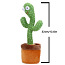Tantsiv kaktus (foto #3)