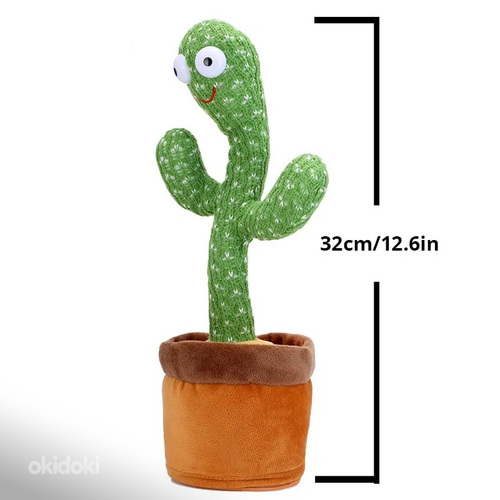Tantsiv kaktus (foto #3)