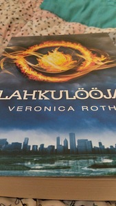 Veronica Roth Lahkulööja ja Mässaja. (9 foto / 10)