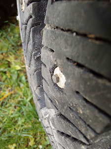 Naastrehv Sava Eskimo Stud 195/65R15 91T (5 foto / 10)