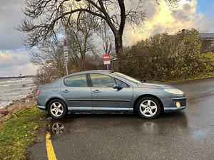Peugeot 407 (8 фото из 11)