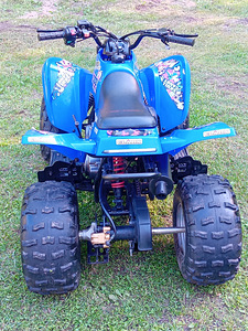 ETon Viper 90r (6 foto / 6)