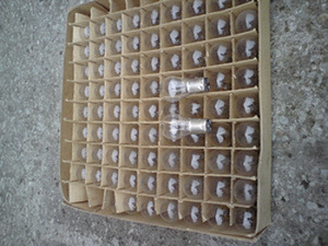 12v- 5w (1 foto / 1)