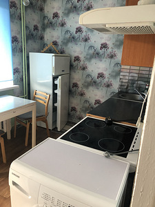 Müüa 2 toaline korter, Ahula, Järvamaa (3 foto / 9)