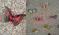 Декоративные бабочки на магните