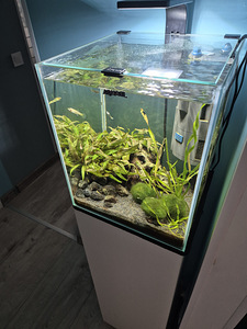 AQUAEL SHRIMP Set 30 (1 foto / 4)