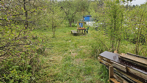 Üürile anda 800 m² suurune krunt Maardus (9 foto / 11)
