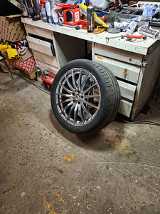 Dunlop (2 foto / 4)