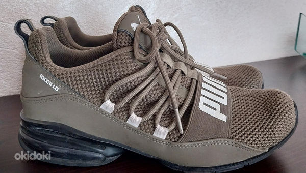 Puma tossud, s.37